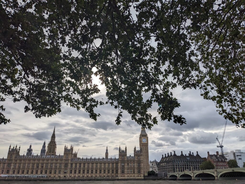 Landscape photo of Big Ben and the Houses of Parliament. On the upper half branches of trees in the foreground occlude the grey sky. Next to Big Ben the Westminster Bridge is shown.