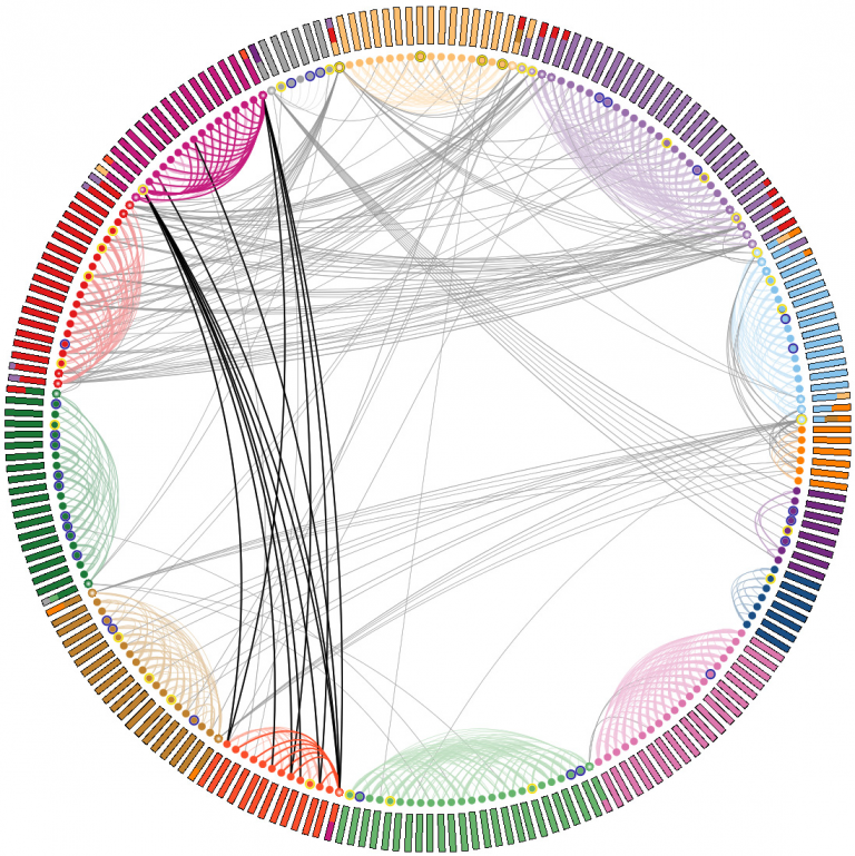 Protein Protein Interaction Network Shown With The Circular Layout Different Proteins Are