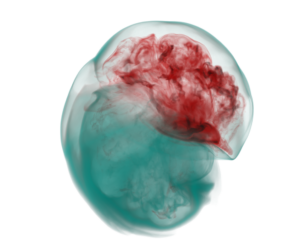 Fig. 2: Simulation of a Supernova. Performance modeling and prediction made a fluent interaction with a high quality application possible. Data source: John M. Blondin; rendering: Valentin Bruder.